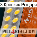 3 Крепких Рыцаря 42